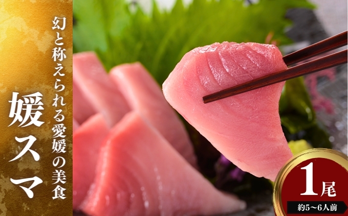 愛媛県産養殖「媛スマ」