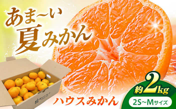 ハウスみかん 2kg 【7月下旬から9月下旬まで順次発送】 / フルーツ 果物 蜜柑 ミカン オレンジ 小玉 甘い 先行予約 2kg 愛媛 / 愛媛県砥部町/株式会社フジ・アグリフーズ [BJBI001]