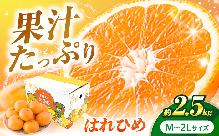 はれひめ 約2.5kg M-2Lサイズ【12月上旬から翌年1月上旬まで順次発送】 / フルーツ 果物 蜜柑 ミカン オレンジ 甘い 先行予約 約 3kg 愛媛 / 愛媛県砥部町/株式会社フジ・アグリフーズ [BJBI004]