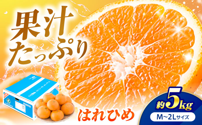 はれひめ M-2Lサイズ 約5kg【12月上旬から翌年1月上旬まで順次発送】 / フルーツ 果物 蜜柑 ミカン オレンジ 甘い 先行予約 5kg 愛媛 / 愛媛県砥部町/株式会社フジ・アグリフーズ [BJBI005]