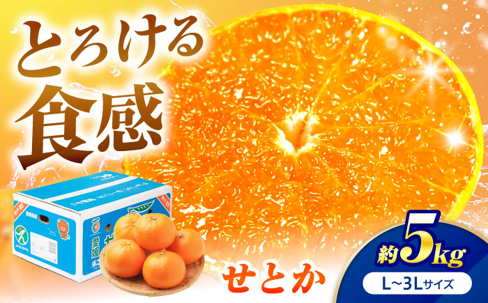 せとか L-3Lサイズ 約5kg 【2月中旬から3月中旬まで順次発送】 / フルーツ 果物 蜜柑 ミカン オレンジ 甘い 先行予約 5kg 愛媛 / 愛媛県砥部町/株式会社フジ・アグリフーズ [BJBI007]