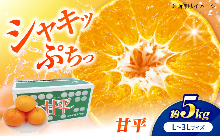 甘平 L-3Lサイズ 5kg 【1月下旬から2月中旬まで順次発送】 / フルーツ 果物 蜜柑 ミカン オレンジ 小玉 先行予約 5kg 愛媛 / 愛媛県砥部町/株式会社フジ・アグリフーズ [BJBI009]