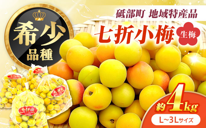 梅 七折小梅(生梅) 4kg 【5月中旬から6月下旬まで順次発送】 / 先行予約 梅干し 梅酒 梅ジュース 梅シロップ / 愛媛県砥部町/株式会社フジ・アグリフーズ [BJBI012]