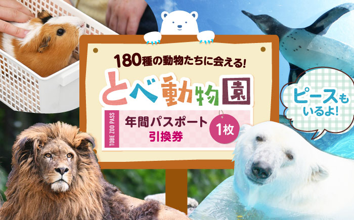 入場券 とべ動物園「年間パスポート」 1枚 / 動物園 チケット 年パス 入場券 優待券 招待券 施設利用券 / 愛媛県砥部町/愛媛県動物園協会(砥部町地域振興課) [BJCA002]