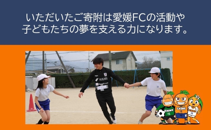 えひめまるごと活性化プロジェクト～プロスポーツと連携したまちづくり～【返礼品なし】愛媛FC連携事業 1,000円