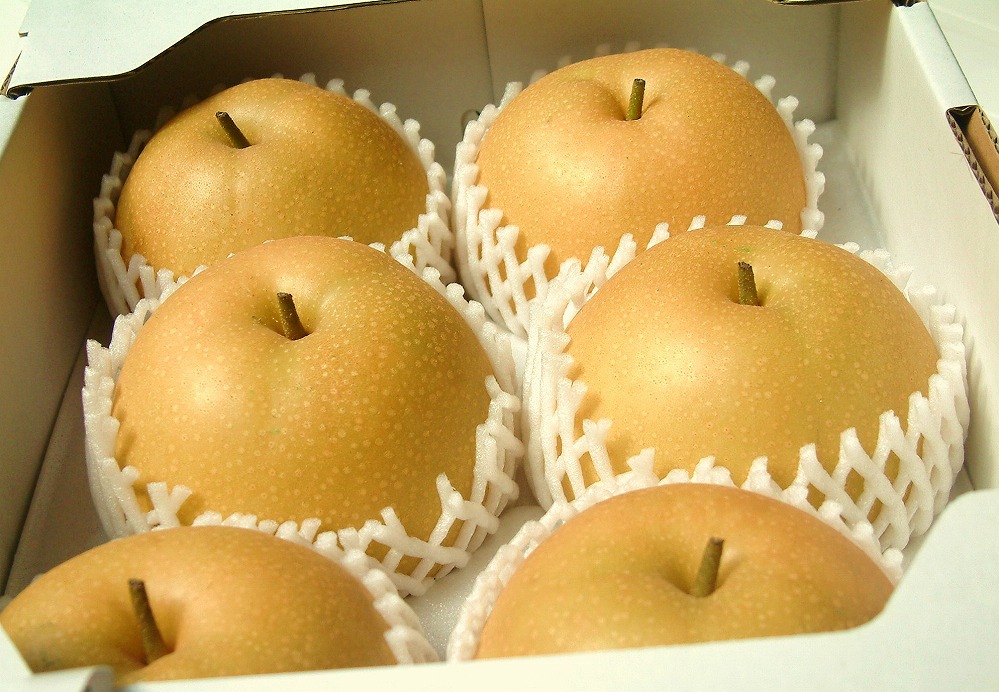 【価格変更・要確認】稲田ペアファームの新高梨（にいたかなし）（1）【4～6玉入り】