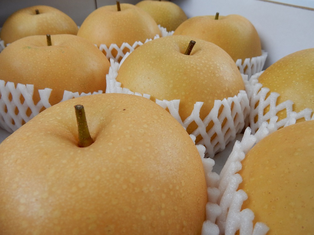 フルーツ松本のあきづき梨（1）【5～6玉入り】