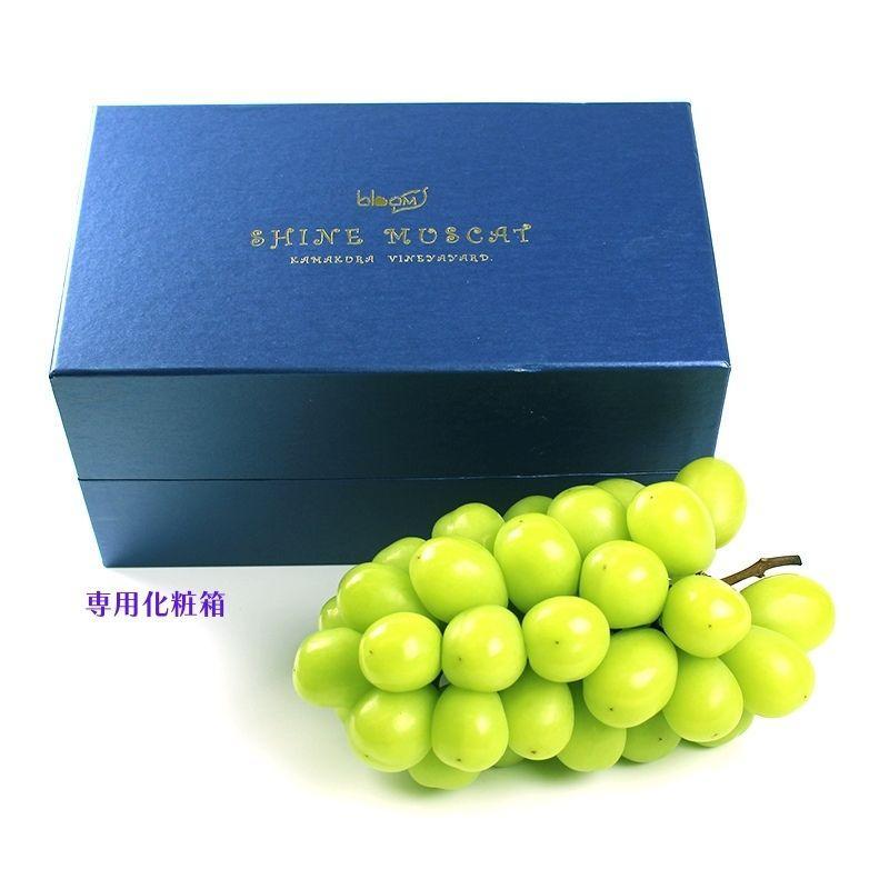 BLOOM LEAF シャインマスカット2房 ＜2026年9月5日頃から発送開始＞