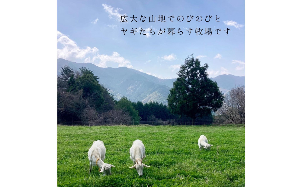 【2026年発送分 先行予約】ペット用ヤギミルク 90ml×20パック（冷凍） 犬 猫 国産 愛媛県産 牧場直送 低温殺菌 生ヤギミルク