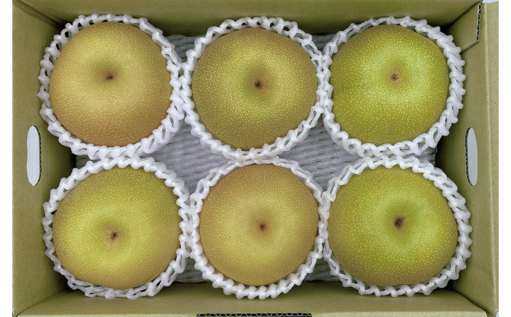 内子町産　幸水梨【5～6玉】★2025年8月上旬から発送★【北海道・沖縄配送不可】