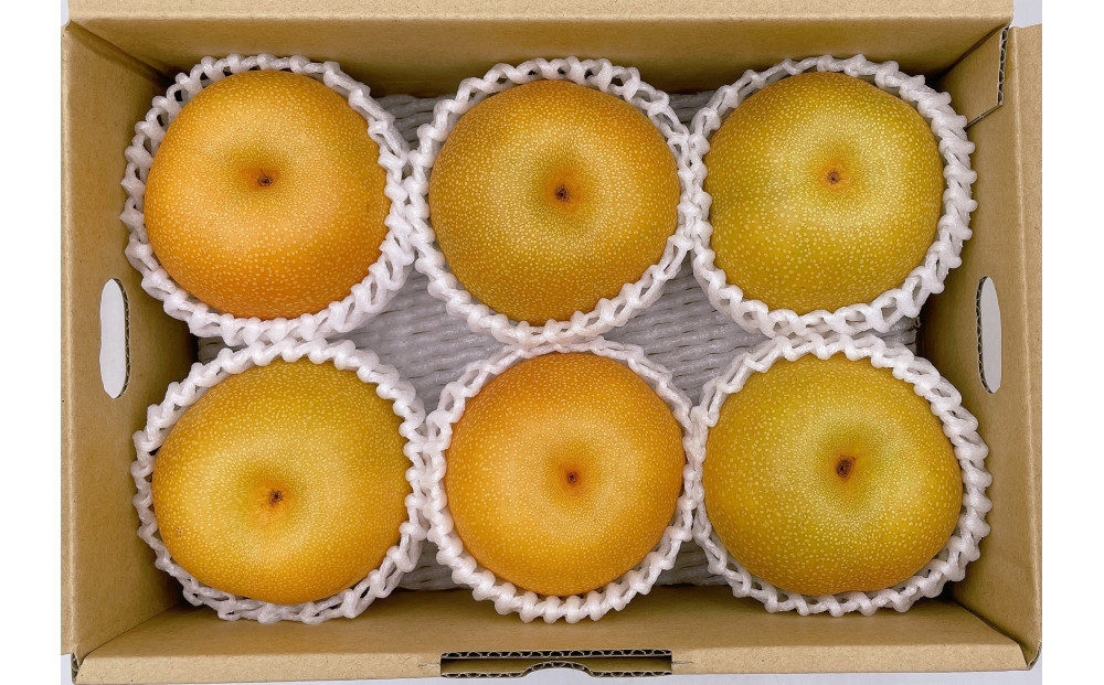 内子町産　豊水梨【5～6玉】★2025年8月下旬から発送★【北海道・沖縄配送不可】