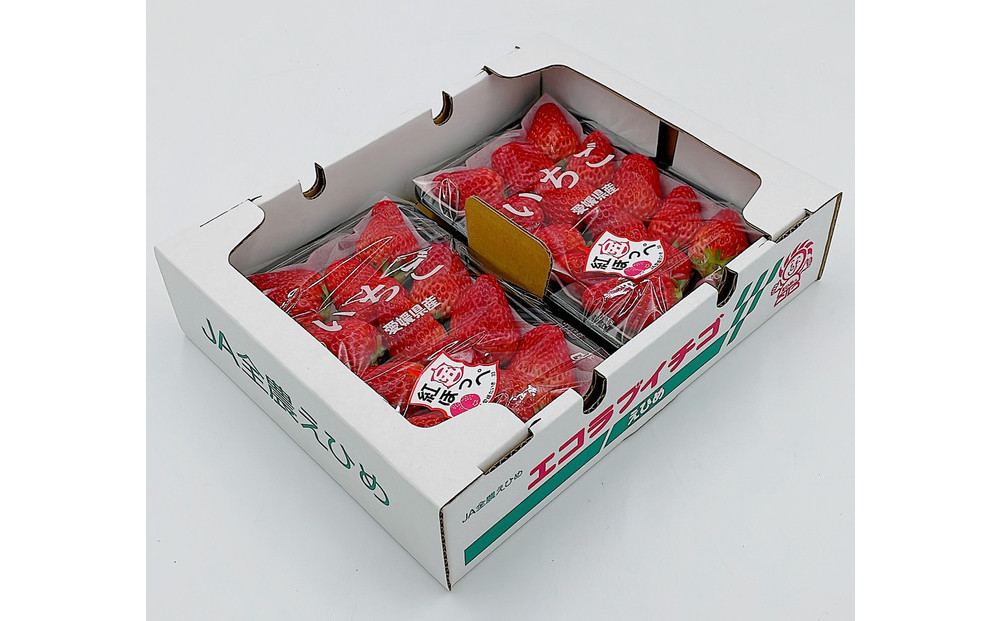 内子町産　いちご「紅ほっぺ」　4パック