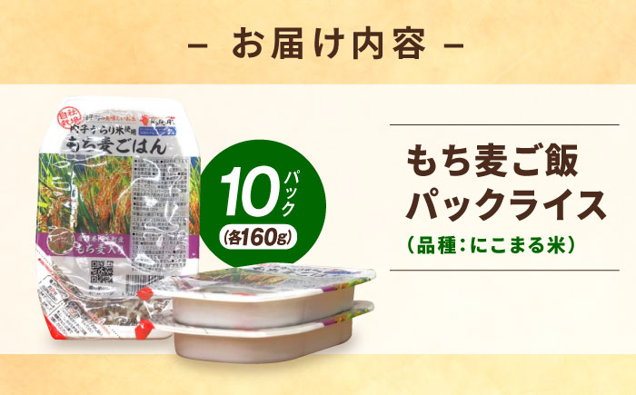 内子からり米使用 もち麦ご飯 10パック 自社栽培内子からり米にこまる・内子町産もち麦使用 ／ 米 もち麦 ごはん 愛媛県産 お米 パックご飯 【株式会社内子フレッシュパークからり】 [BKAD006]