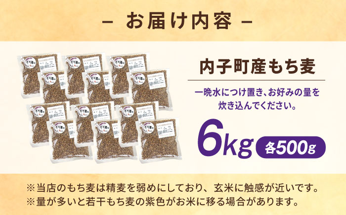 内子町産もち麦6kg ／ 国産 雑穀米 もち麦 ごはん おすすめ 送料無料 米 【株式会社内子フレッシュパークからり】 [BKAD013]