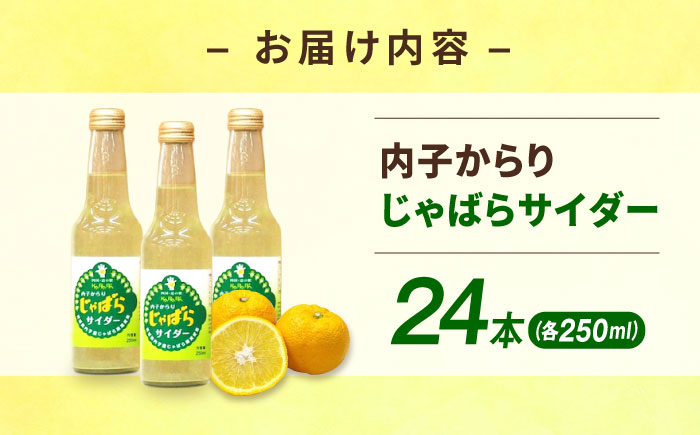内子からりじゃばらサイダー 250ml×24本／果物 ジュース くだもの じゃばら 炭酸 飲料 ナリルチン 内子町 【株式会社内子フレッシュパークからり】 [BKAD018]
