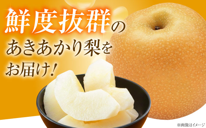 藤渕果樹園のあきあかり梨 5～6玉 〈2026年8月～発送〉 ／ フルーツ 果物 くだもの 食品 人気 おすすめ 梨 なし あきあかり 旬 ギフト 【株式会社内子フレッシュパークからり】 [BKAD022]