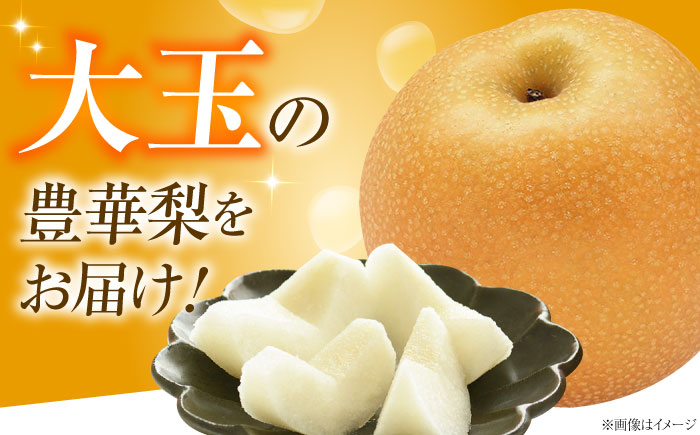 稲田ペアファームの豊華梨 （ゆたかなし） 6～9玉 〈2026年9月～発送〉 ／ フルーツ 果物 くだもの 食品 人気 おすすめ 梨 なし ゆたか 和梨 甘い 旬 ふるさと納税 【株式会社内子フレッシュパークからり】 [BKAD025]