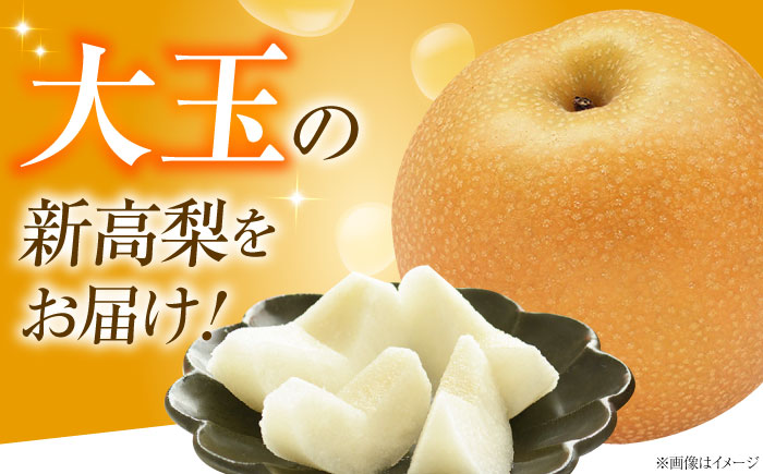 稲田ペアファームの新高梨 （にいたかなし） 4～6玉 〈2026年9月～発送〉 ／ フルーツ 果物 くだもの 食品 人気 おすすめ 梨 なし 新高梨 にいたかなし 和梨 甘い 高糖度 【株式会社内子フレッシュパークからり】 [BKAD026]