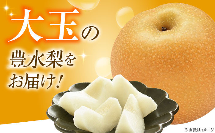 稲田ペアファームの豊水梨（ほうすいなし） 6～9玉入 〈2026年8月～発送〉 ／ 梨 なし フルーツ 果物 くだもの 食品 人気 おすすめ 季節のフルーツ 豊水梨 【株式会社内子フレッシュパークからり】 [BKAD031]