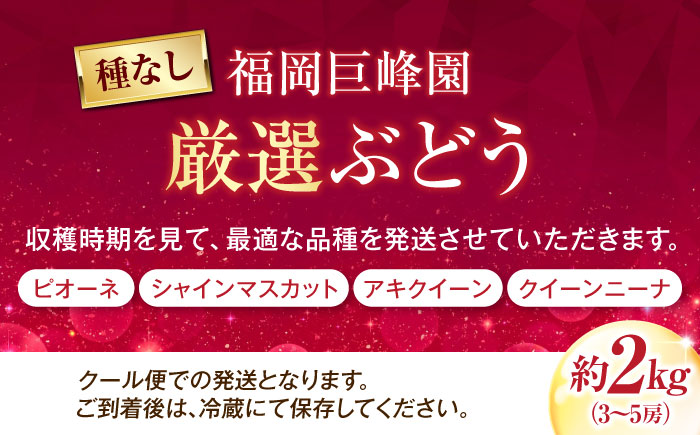 福岡巨峰園の厳選ぶどう詰め合わせ（種無し） 約2kg 3～5房入 〈2026年8月～発送〉 ／ フルーツ 果物 くだもの 食品 人気 おすすめ 送料無料 ぶどう ブドウ 葡萄 食べ比べ セット 【株式会社内子フレッシュパークからり】 [BKAD041]
