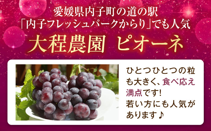 大程農園のピオーネ（種無し） 約2kg 3～5房入 〈2026年8月～発送〉 ／ フルーツ 果物 くだもの 食品 人気 おすすめ 送料無料 ピオーネ 葡萄 ブドウ 種無し たねなし 【株式会社内子フレッシュパークからり】 [BKAD044]