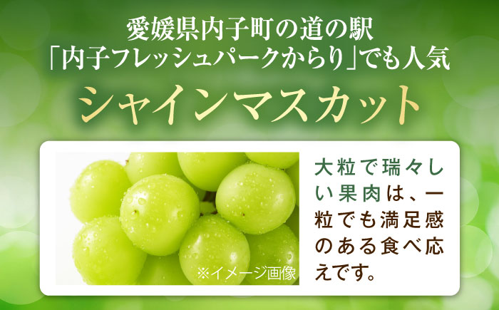 大程農園のシャインマスカット 約2kg 3～5房入 〈2026年9月～発送〉 ／ フルーツ 果物 くだもの 食品 人気 おすすめ 送料無料 シャインマスカット マスカット ますかっと 【株式会社内子フレッシュパークからり】 [BKAD045]