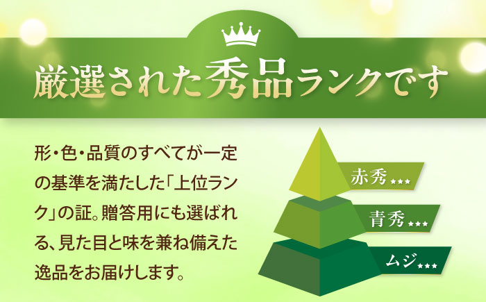 シャインマスカット 秀品 2房 1.0kg ＜2026年8月下旬～発送開始＞ ／ シャインマスカット 大人気 愛媛県 美味しい 人気 皮ごと 葡萄 ブドウ 愛媛県産 内子町産 新鮮 旬 フルーツ 果物 くだもの【株式会社フジ・アグリフーズ】 [BKAY003]
