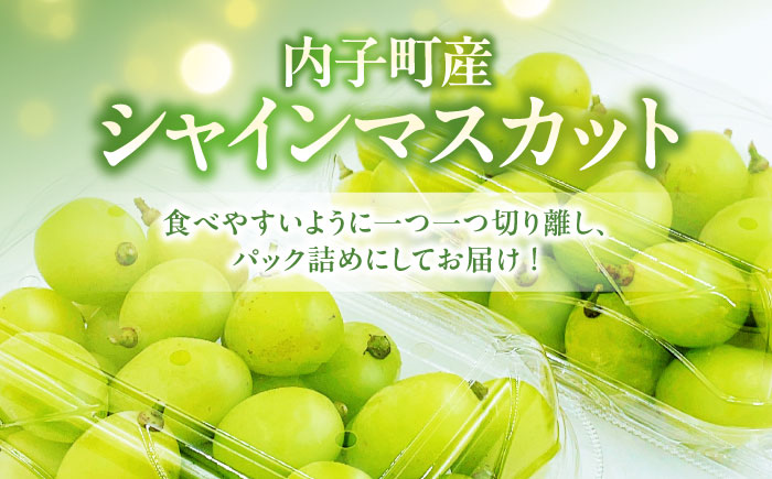 シャインマスカット 350g×2パック パック詰め ＜2026年8月下旬～発送開始＞ ／ シャインマスカット 大人気 愛媛県 美味しい 人気 皮ごと 葡萄 ブドウ 愛媛県産 内子町産 新鮮 旬 フルーツ 果物 くだもの【株式会社フジ・アグリフーズ】 [BKAY006]
