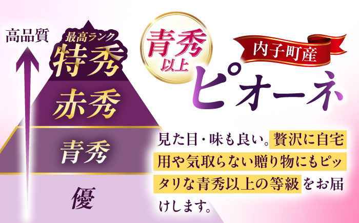 ピオーネ 青秀以上 4～6房 2kg ＜2025年8月下旬から発送＞【北海道・沖縄配送不可】 ／ ブドウ 美味しい ぶどう ピオーネ 大人気 葡萄 愛媛県 葡萄 新鮮 旬 フルーツ 果物 食品 葡萄 新鮮【株式会社フジ・アグリフーズ】 [BKAY010]