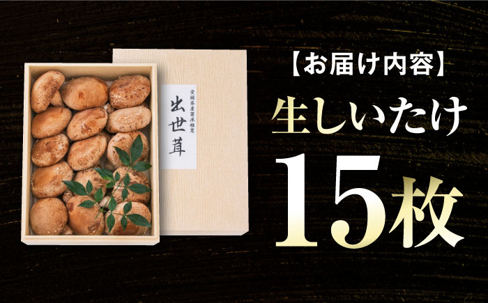 生しいたけ 15枚入 ／ しいたけ 椎茸 シイタケ きのこ キノコ 野菜 愛媛県 内子町産【株式会社フジ・アグリフーズ】 [BKAY014]