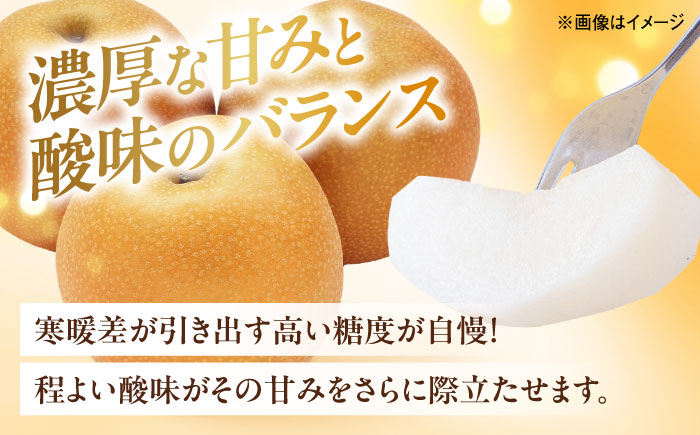 豊水梨【10～16玉】＜2026年8月下旬から発送＞【北海道・沖縄配送不可】 ／ 梨 なし ナシ 和梨 果物 フルーツ 国産 産地直送【株式会社フジ・アグリフーズ】 [BKAY023]