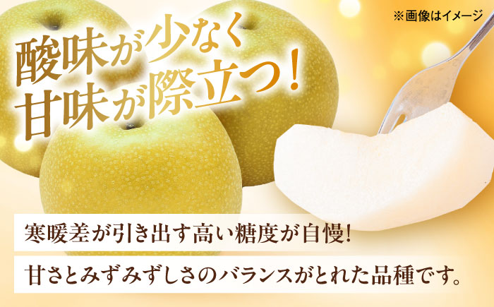 幸水梨【12～16玉】＜2026年8月上旬から発送＞【北海道・沖縄配送不可】 ／ 梨 なし ナシ 和梨 果物 フルーツ 国産 産地直送【株式会社フジ・アグリフーズ】 [BKAY032]