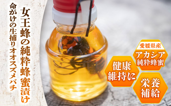 女王蜂の蜂蜜漬け（150g×2本）／はちみつ ハチミツ ハニー ジャム 内子町【ミカタスイッチ株式会社】 [BKBU001]