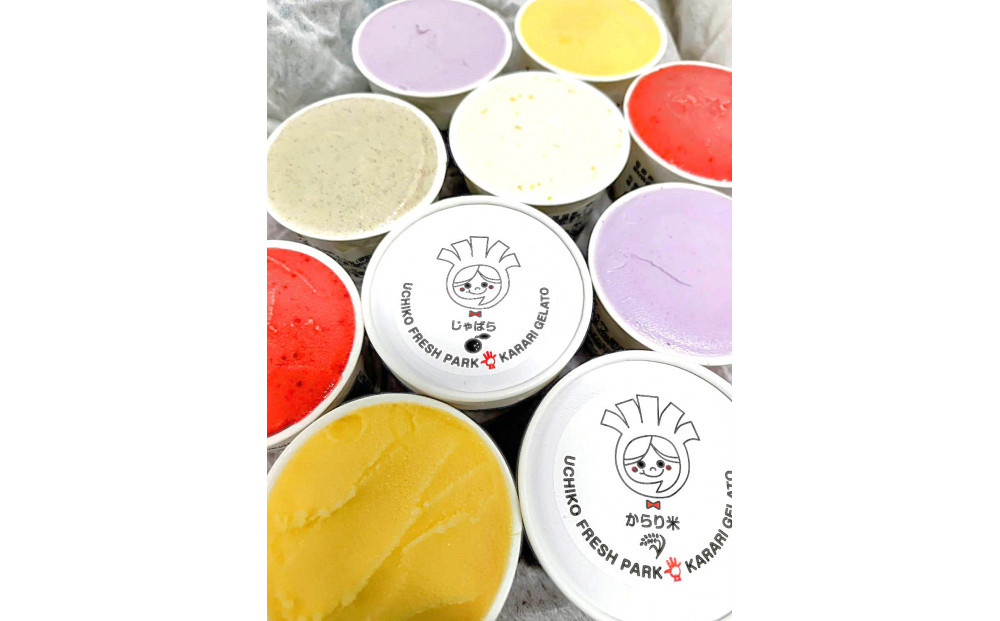 道の駅からり直送！サラダ感覚 ジェラート&ソルベ 12個