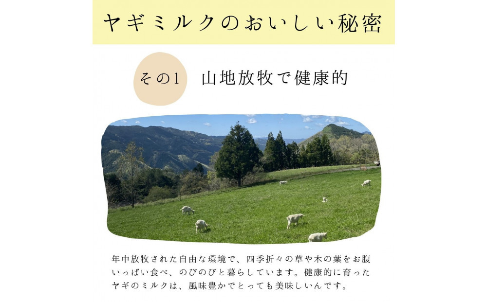 【2026年発送分 先行予約】 みんなのヤギミルクヨーグルト（無糖タイプ）3本セット