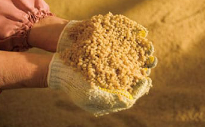 創業明治26年 老舗「内子・森文」蔵セット(ぽん酢、麺つゆ、麦みそ、本造りみそ各1個） ／ 食品 加工食品 人気 おすすめ 送料無料 調味料 ぽん酢 めんつゆ 麺つゆ 麦味噌 みそ 味噌 ミソ 【森文醸造株式会社】 [BKAA008]