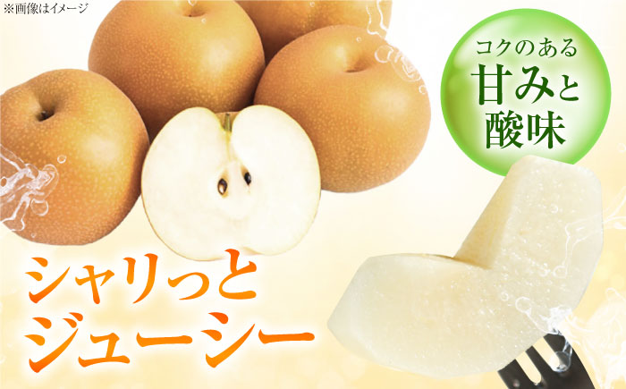 稲田ペアファームの豊華梨 （ゆたかなし） 6～9玉 〈2026年9月～発送〉 ／ フルーツ 果物 くだもの 食品 人気 おすすめ 梨 なし ゆたか 和梨 甘い 旬 ふるさと納税 【株式会社内子フレッシュパークからり】 [BKAD025]