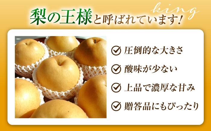 上岡果樹園の新高梨（にいたかなし） 5～8玉入 〈2026年9月～発送〉 ／ 梨 なし フルーツ 果物 くだもの 食品 人気 おすすめ 季節のフルーツ 新高梨 【株式会社内子フレッシュパークからり】 [BKAD033]