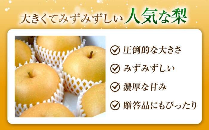 上岡果樹園のあきづき梨 5～6玉入 〈2026年9月～発送〉 ／ 梨 なし フルーツ 果物 くだもの 食品 人気 おすすめ 季節のフルーツ あきづき梨 【株式会社内子フレッシュパークからり】 [BKAD034]