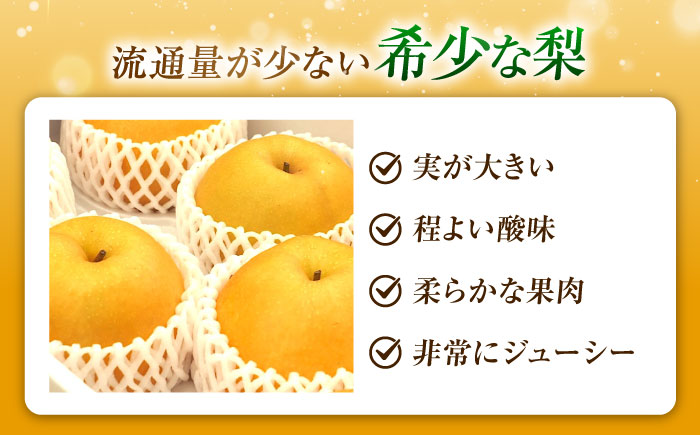 尾形農園の豊華梨(ゆたかなし) 5～6玉入 〈2026年9月～発送〉 ／ 梨 なし フルーツ 果物 くだもの 食品 人気 おすすめ 季節のフルーツ 豊華梨 【株式会社内子フレッシュパークからり】 [BKAD036]