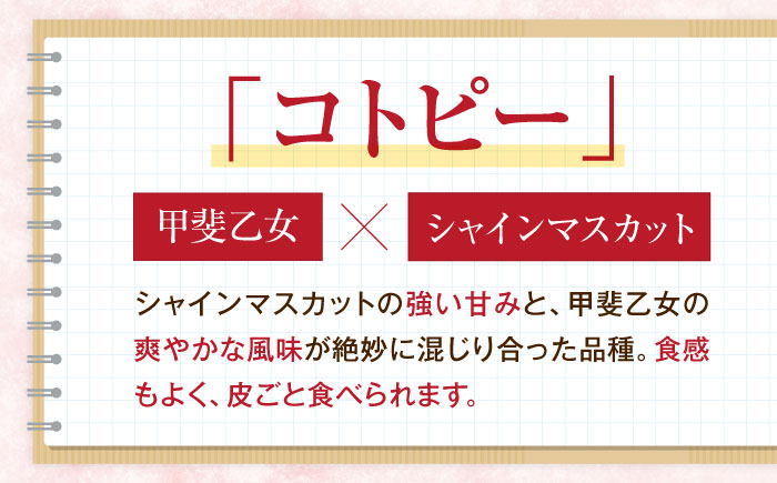 井上農園の厳選赤ぶどう（種無し） 約2kg 3から5房入 〈2026年9月から発送〉 ／ 赤ブドウ ぶどう 葡萄 フルーツ 果実 お取り寄せ おすすめ 甘い 種なし 果物 【株式会社内子フレッシュパークからり】 [BKAD038]