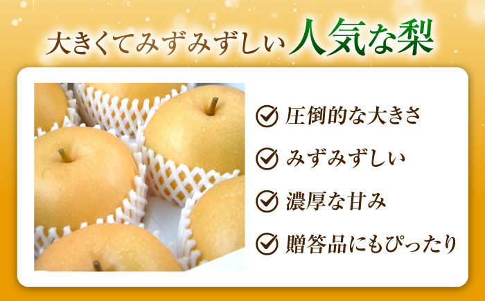 尾形農園のあきづき梨 5～6玉入 〈2026年9月～発送〉 ／ フルーツ 果物 くだもの 食品 人気 おすすめ 送料無料 梨 なし 果実 あきづきなし 【株式会社内子フレッシュパークからり】 [BKAD039]