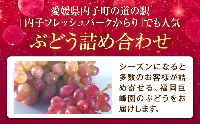 福岡巨峰園の厳選ぶどう詰め合わせ（種無し） 約2kg 3～5房入 〈2026年8月～発送〉 ／ フルーツ 果物 くだもの 食品 人気 おすすめ 送料無料 ぶどう ブドウ 葡萄 食べ比べ セット 【株式会社内子フレッシュパークからり】 [BKAD041]