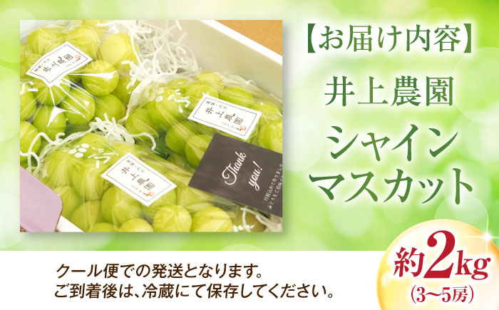 井上農園のシャインマスカット 約2kg 3～5房入 〈2026年8月～発送〉 ／ フルーツ 果物 くだもの 食品 人気 おすすめ 送料無料 シャインマスカット マスカット ますかっと 葡萄 【株式会社内子フレッシュパークからり】 [BKAD043]