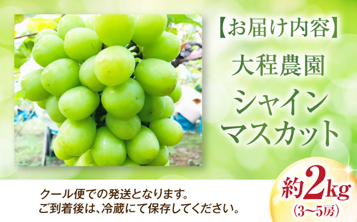 大程農園のシャインマスカット 約2kg 3～5房入 〈2026年9月～発送〉 ／ フルーツ 果物 くだもの 食品 人気 おすすめ 送料無料 シャインマスカット マスカット ますかっと 【株式会社内子フレッシュパークからり】 [BKAD045]