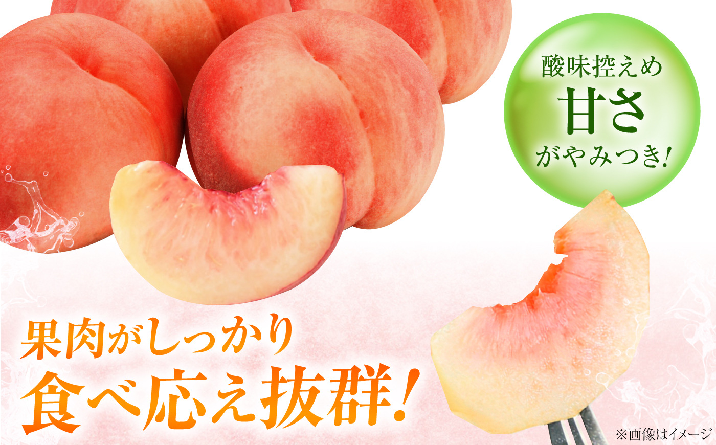 【先行予約】川中島白桃 6～8玉入り 〈2026年8月～発送〉／モモ 桃 フルーツ 果物 1箱 くだもの もも 【株式会社内子フレッシュパークからり】 [BKAD117]