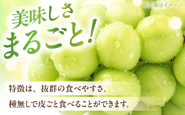 シャインマスカット 秀品 2房 1.0kg ＜2026年8月下旬～発送開始＞ ／ シャインマスカット 大人気 愛媛県 美味しい 人気 皮ごと 葡萄 ブドウ 愛媛県産 内子町産 新鮮 旬 フルーツ 果物 くだもの【株式会社フジ・アグリフーズ】 [BKAY003]