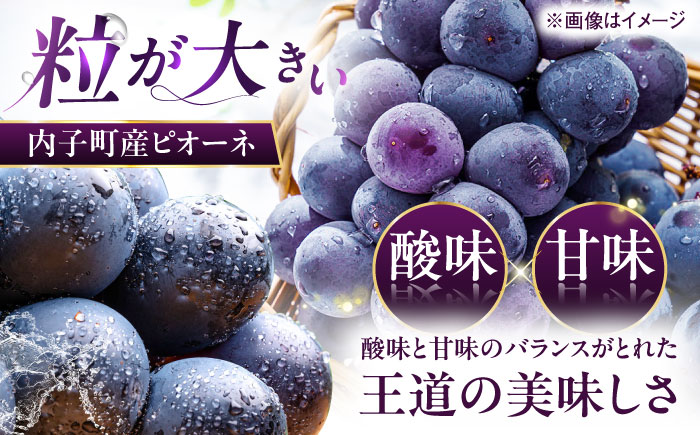 ピオーネ 青秀以上 4～6房 2kg ＜2025年8月下旬から発送＞【北海道・沖縄配送不可】 ／ ブドウ 美味しい ぶどう ピオーネ 大人気 葡萄 愛媛県 葡萄 新鮮 旬 フルーツ 果物 食品 葡萄 新鮮【株式会社フジ・アグリフーズ】 [BKAY010]