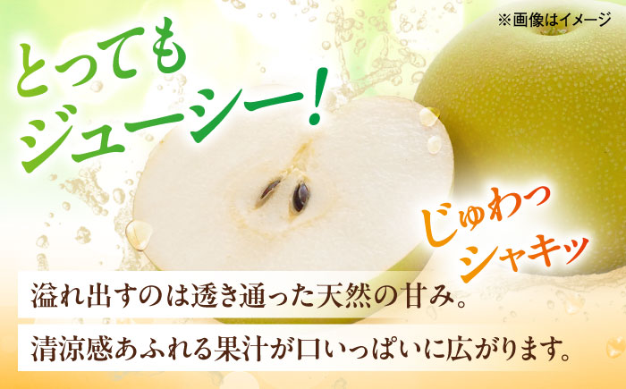 幸水梨【5～6玉】＜2026年8月上旬から発送＞【北海道・沖縄配送不可】 ／ 梨 なし ナシ 和梨 果物 フルーツ 国産 産地直送【株式会社フジ・アグリフーズ】 [BKAY027]