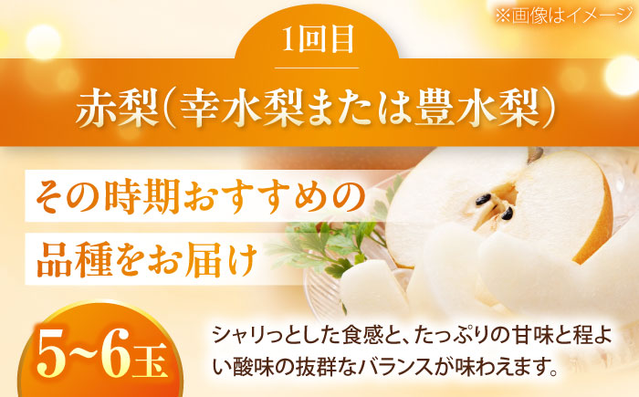 【3回定期便】梨・ぶどう・柿 旬のフルーツ定期便【北海道・沖縄配送不可】 ／かき カキ ブドウ 葡萄 梨 なし ナシ 和梨 果物 フルーツ 国産 産地直送【株式会社フジ・アグリフーズ】 [BKAY030]